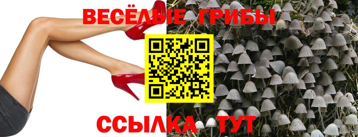 Еманжелинск  Псилоцибиновые грибы Magic Shrooms  Вход с VPN  Галлюциногенные грибы GOLDEN TEACHER 